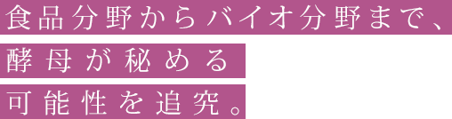 食品分野からバイオ分野まで、酵母が秘める可能性を追究。
