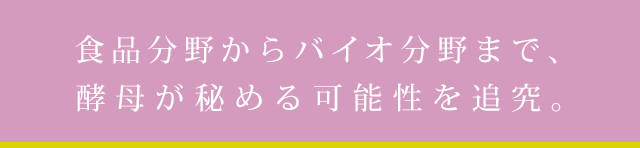 食品分野からバイオ分野まで、酵母が秘める可能性を追究。