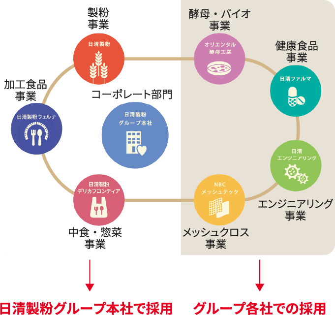 グループ一括採用（4社合同採用）& 職種別・事業別採用の全体像