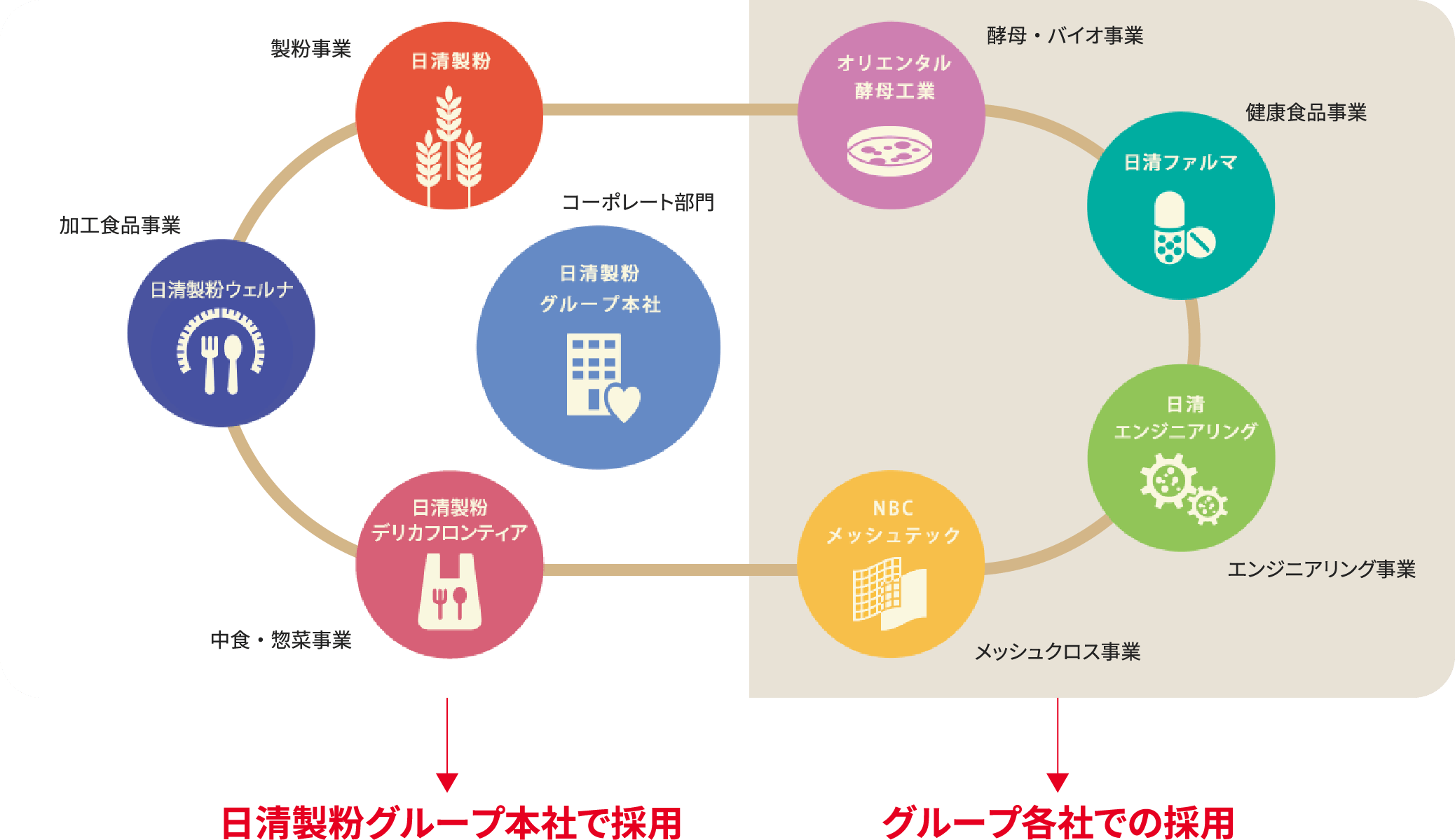 グループ一括採用（4社合同採用）& 職種別・事業別採用の全体像