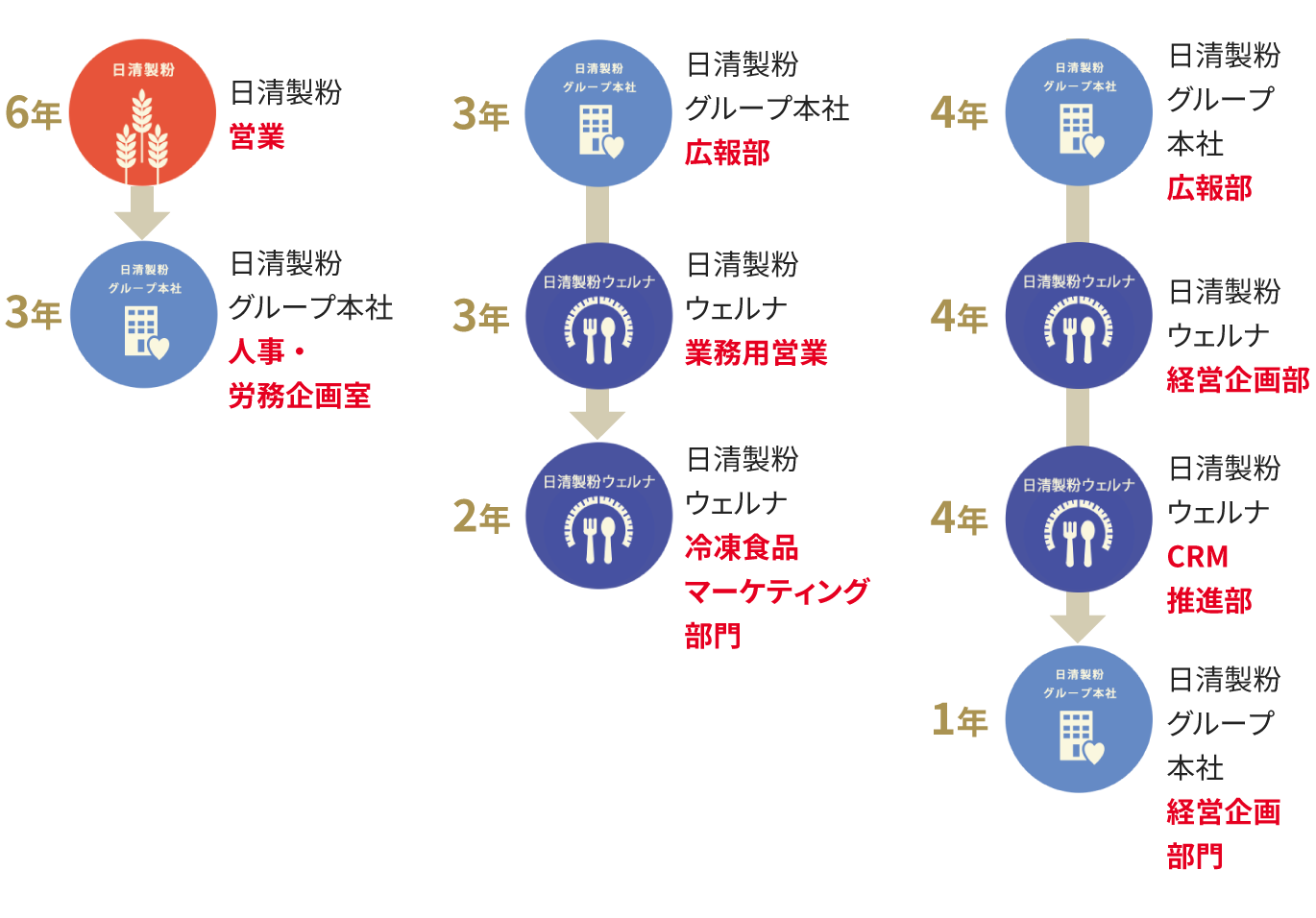 オールラウンドコース キャリアパス例の図